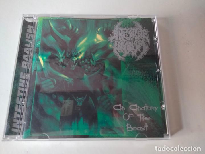 CDs de m&uacute;sica: INTESTINE BAALISM CD REPULSE RECORDS 1997 - Foto 1
