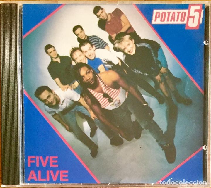 CDs de m&uacute;sica: POTATO 5 : FIVE ALIVE [DOJO - UK 1994] CD - Foto 1