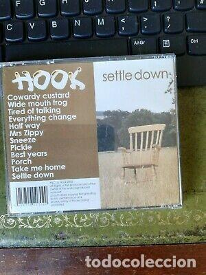 CDs de m&uacute;sica: hook settle down cd - Foto 2