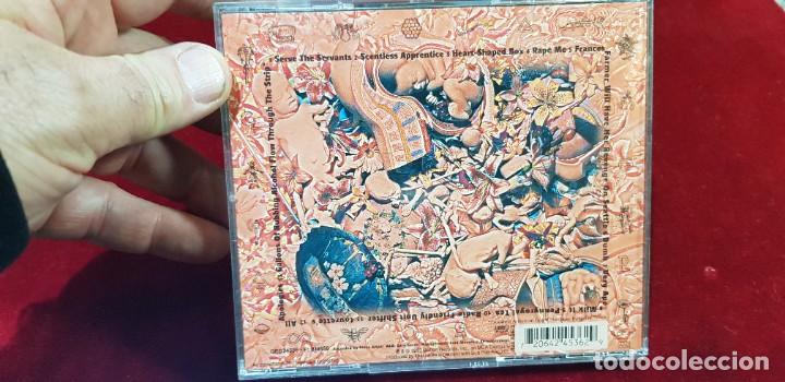 CDs de m&uacute;sica: CD Nirvana in &uacute;tero a&ntilde;o 1993 - Foto 3