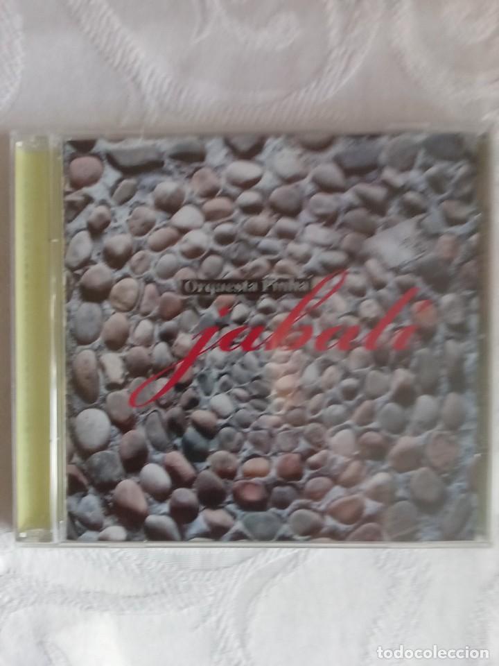 CDs de m&uacute;sica: ORQUESTA PINHA - Jabal&iacute; - Foto 1