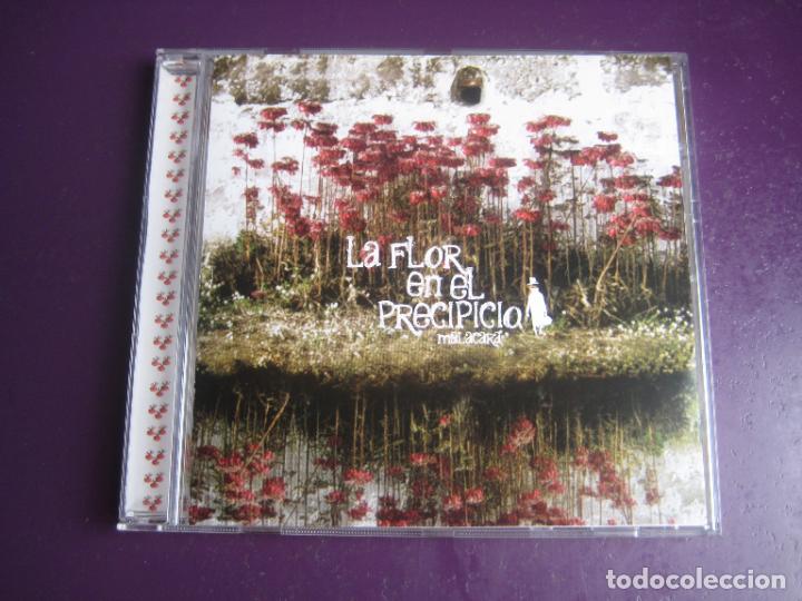 CD di Musica: MALACARA - LA FLOR EN EL PRECIPICIO - CD AUTOEDITADO 2008 - INDIE POP BARCELONA - SIN USO