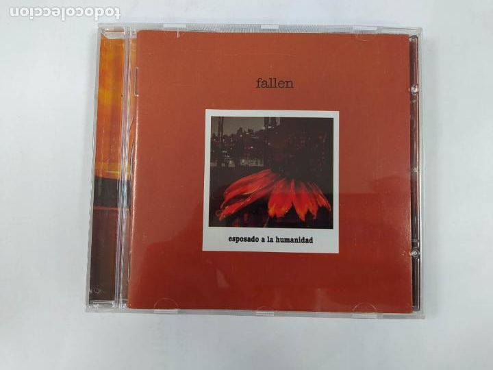 CDs de m&uacute;sica: FALLEN. ESPOSADO A LA HUMANIDAD. CD. TDKCD38 - Foto 1