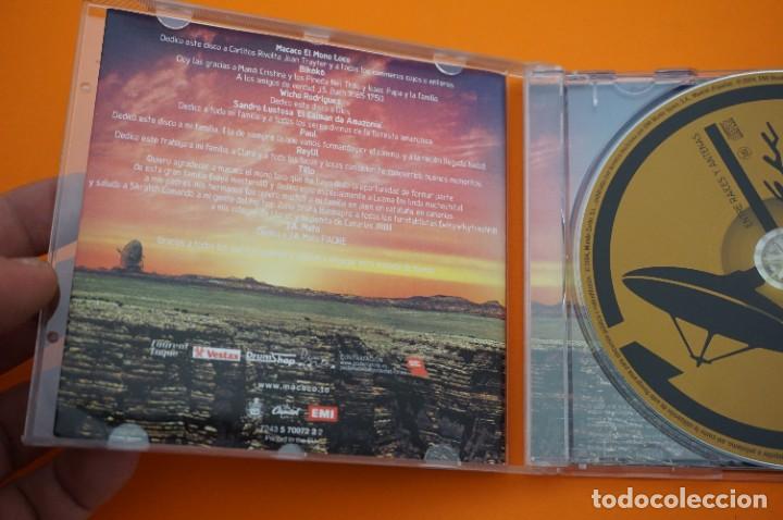 CDs de m&uacute;sica: CD - MACACO - ENTRE RAICES Y ANTENAS - Foto 2