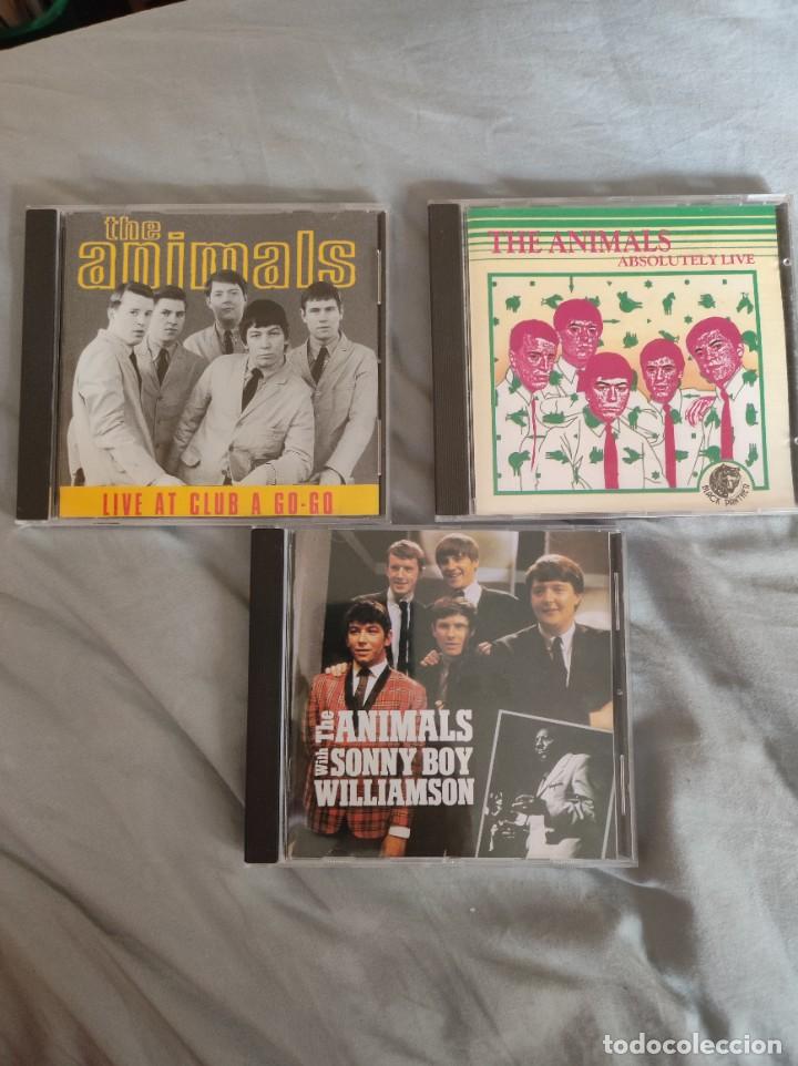 CDs de m&uacute;sica: lote 3 cds the animals eric burdon - Foto 1