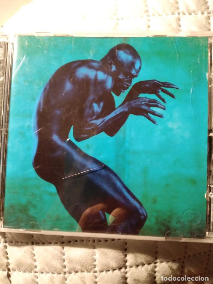 CDs de m&uacute;sica: CD-SEAL-HUMAN BEGING- - Foto 1