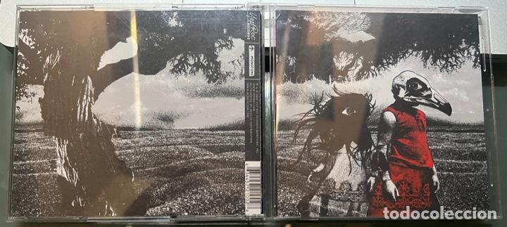 CDs de m&uacute;sica: THE STANDARD. Albatross. Cd. - Foto 1