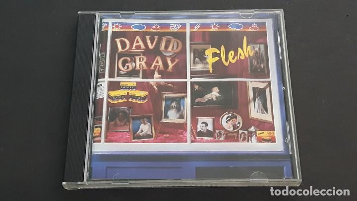 CDs de m&uacute;sica: CD DAVID GRAY - FLESH - Foto 1