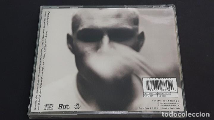 CDs de m&uacute;sica: CD DAVID GRAY - FLESH - Foto 3