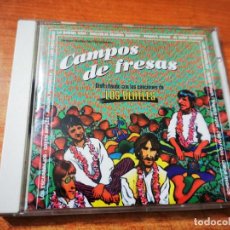 CDs de Música: CAMPOS DE FRESAS DISFRUTANDO DE LAS CANCIONES DE LOS BEATLES CD 1995 EL NIÑO GUSANO LA BUENA VIDA. Lote 363851410