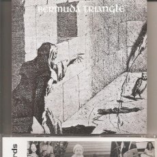 CDs de Música: BERMUDA TRIANGLE - BERMUDA TRIANGLE (FOLK ROCK, PSYCHEDELIC ROCK) (CD, RADIOACTIVE RECORDS 2006). Lote 366298141