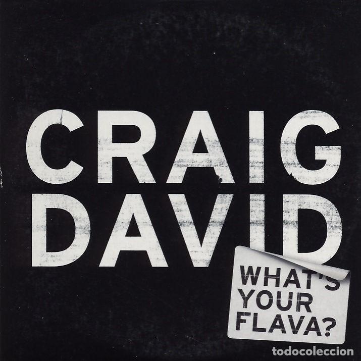 CDs de m&uacute;sica: Whats Your Flava (CD Single) - David, Craig - Foto 1