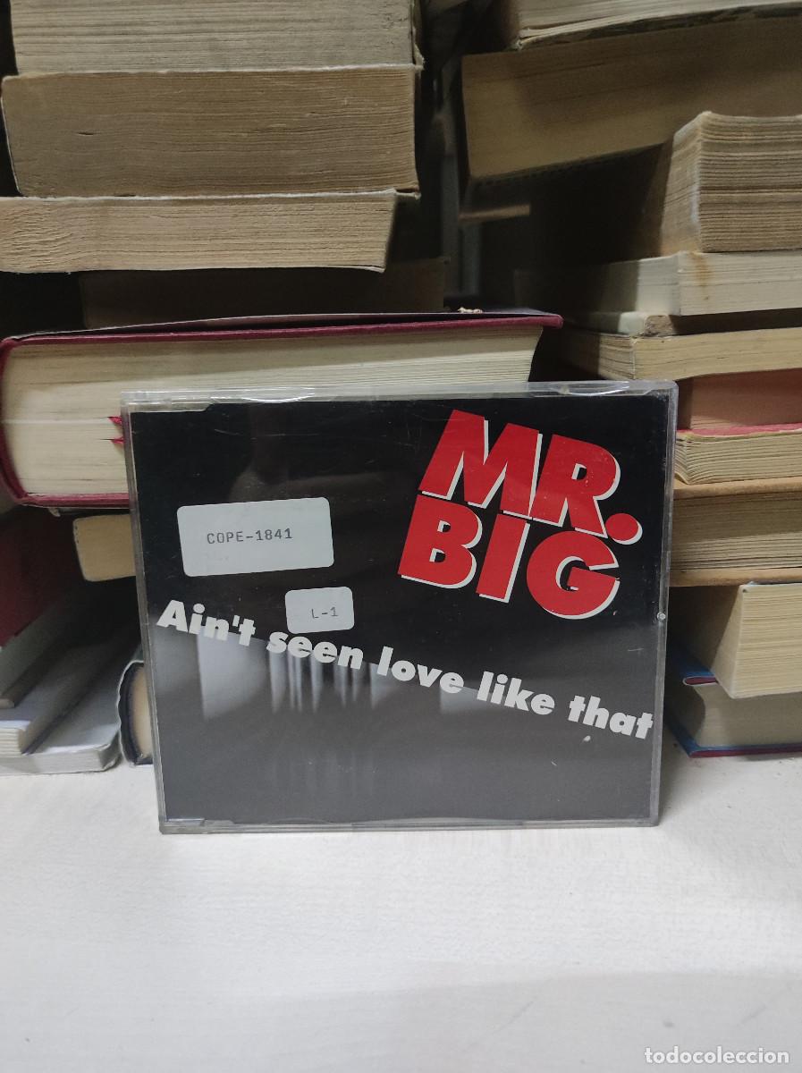 CDs de m&uacute;sica: Mr. Big &ndash; Aint Seen Love Like That - Foto 1