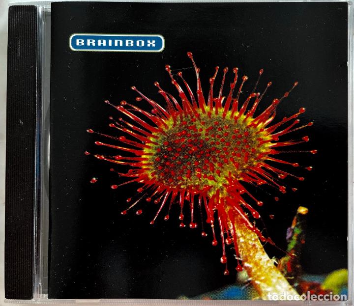 CDs de m&uacute;sica: BRAINBOX. PRIMORDIA. CD NETTWERK - Foto 1
