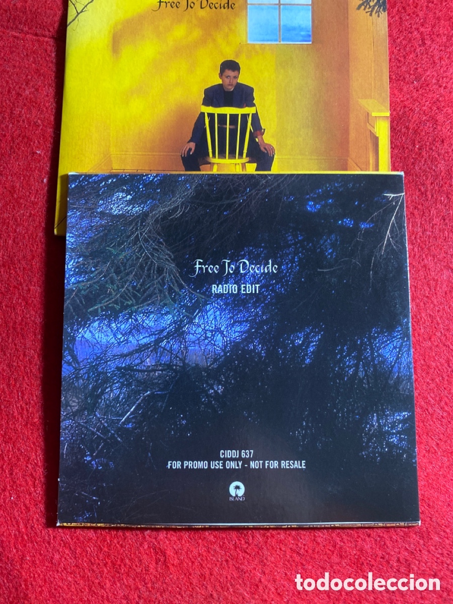CDs de m&uacute;sica: The Cranberries ( single promo ) - Foto 2