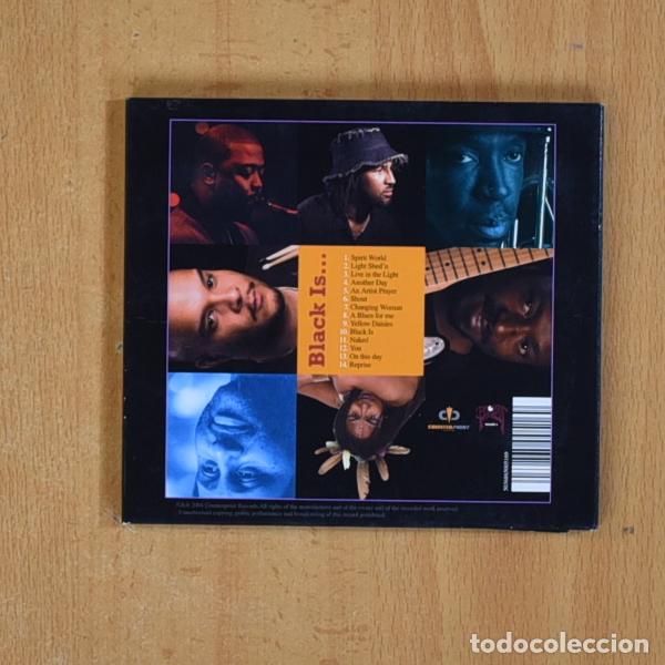 CDs de m&uacute;sica: FERTILE GROUND - BLACK IS - CD - Foto 2
