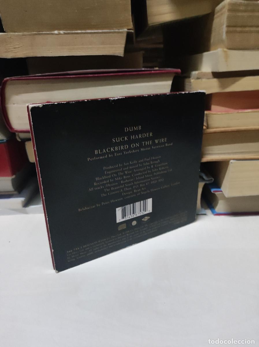 CDs de m&uacute;sica: The Beautiful South &ndash; Dumb - Foto 2