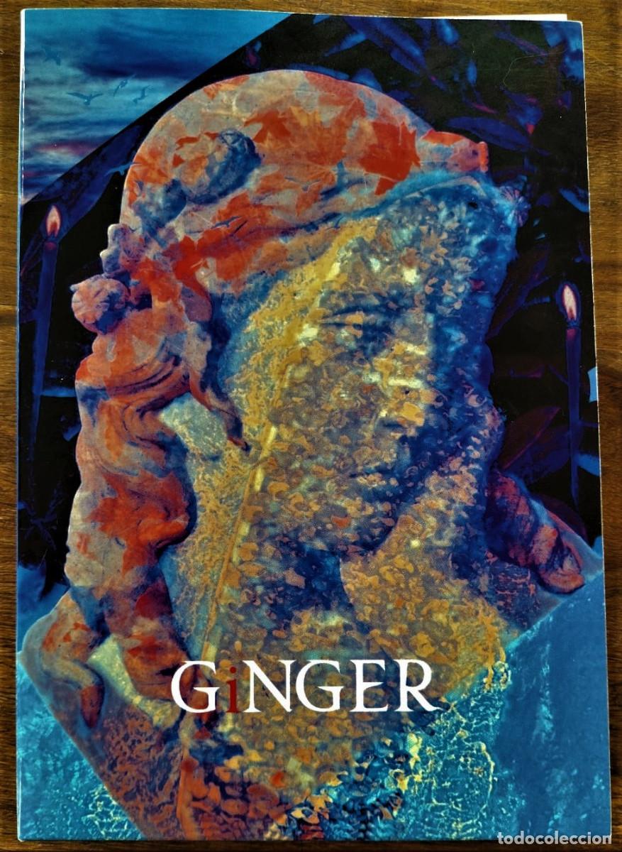 CDs de m&uacute;sica: PERUCHOS ROAD - GiNGER - Foto 1