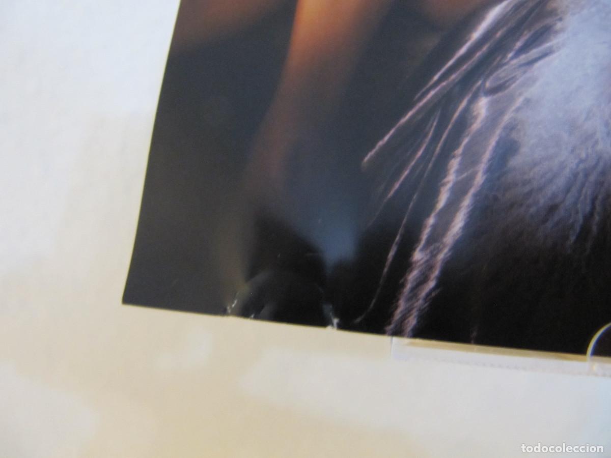 CDs de m&uacute;sica: JENNIFER L&Oacute;PEZ. LOVE - Foto 2