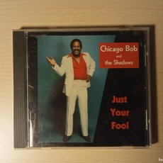 CDs de Música: CHICAGO BOB AND THE SHADOWS - JUST YOU FOOL (CD)