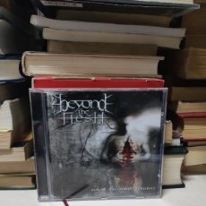 CDs de Música: BEYOND THE FLESH – WHAT THE MIND PERCEIVES