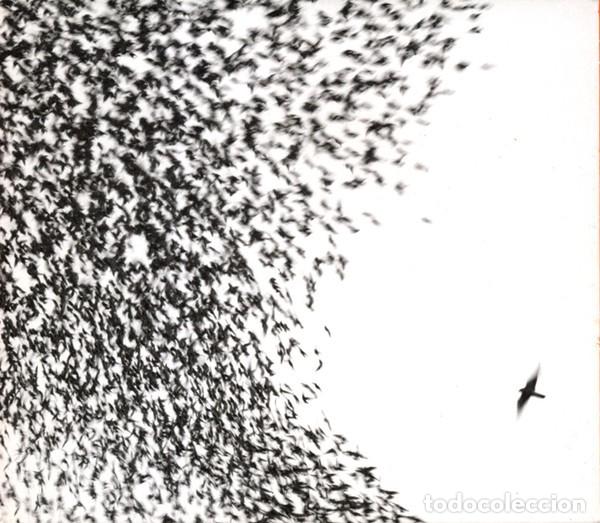 CDs de m&uacute;sica: Wilco - Sky Blue Sky - Foto 1