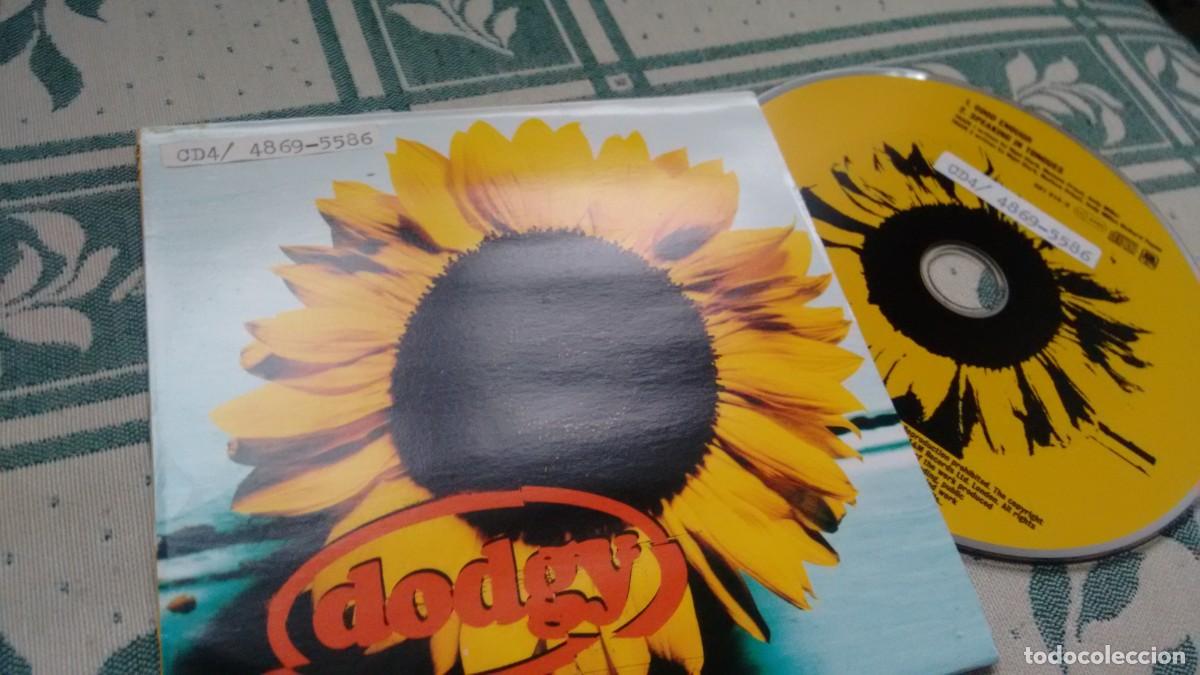 CDs de m&uacute;sica: CD-SINGLE ( PROMOCION) DE DODGY - Foto 1