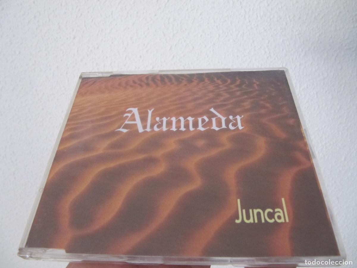 CDs de m&uacute;sica: Alameda cd single Juncal 1994 - Foto 1