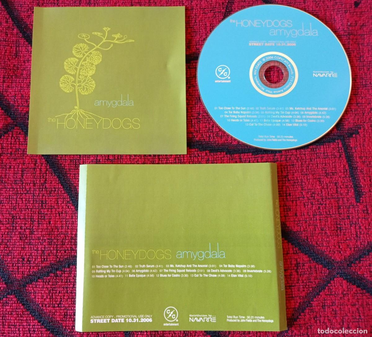 CDs de m&uacute;sica: THE HONEYDOGS ** Amygdala ** CD PROMOCIONAL 2006 USA