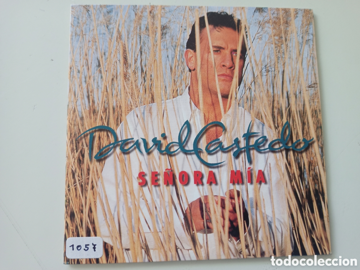 CDs de m&uacute;sica: David Castedo - Se&ntilde;ora m&iacute;a (cd single) - Foto 1