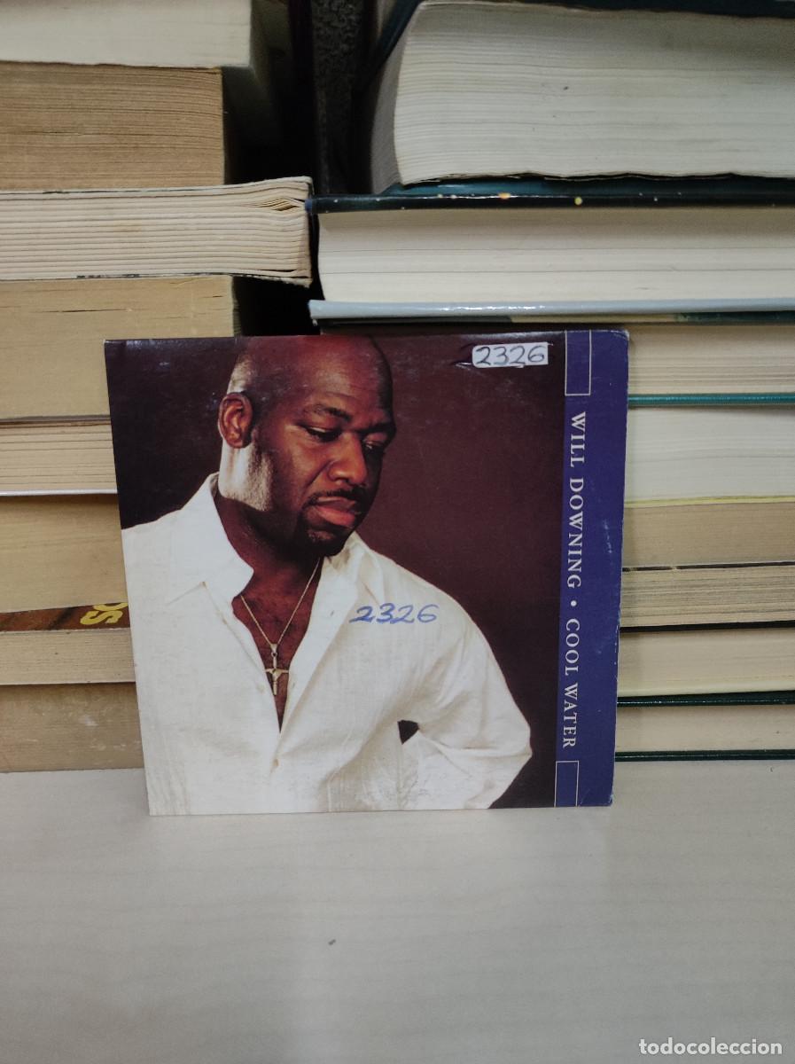 CDs de m&uacute;sica: Will Downing &ndash; Cool Water - Foto 1