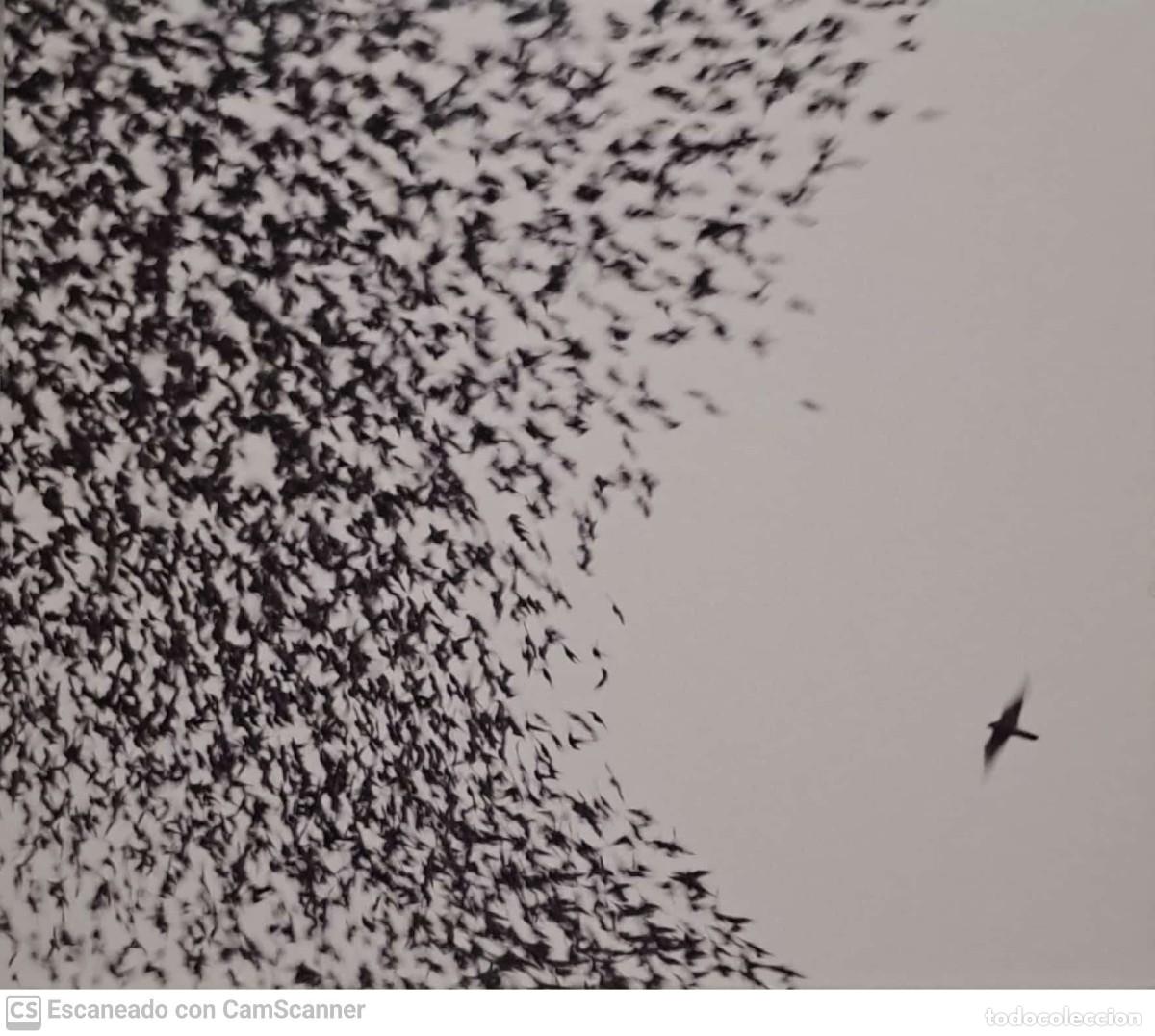CDs de m&uacute;sica: Wilco &lrm;&ndash; Sky Blue Sky - Foto 1