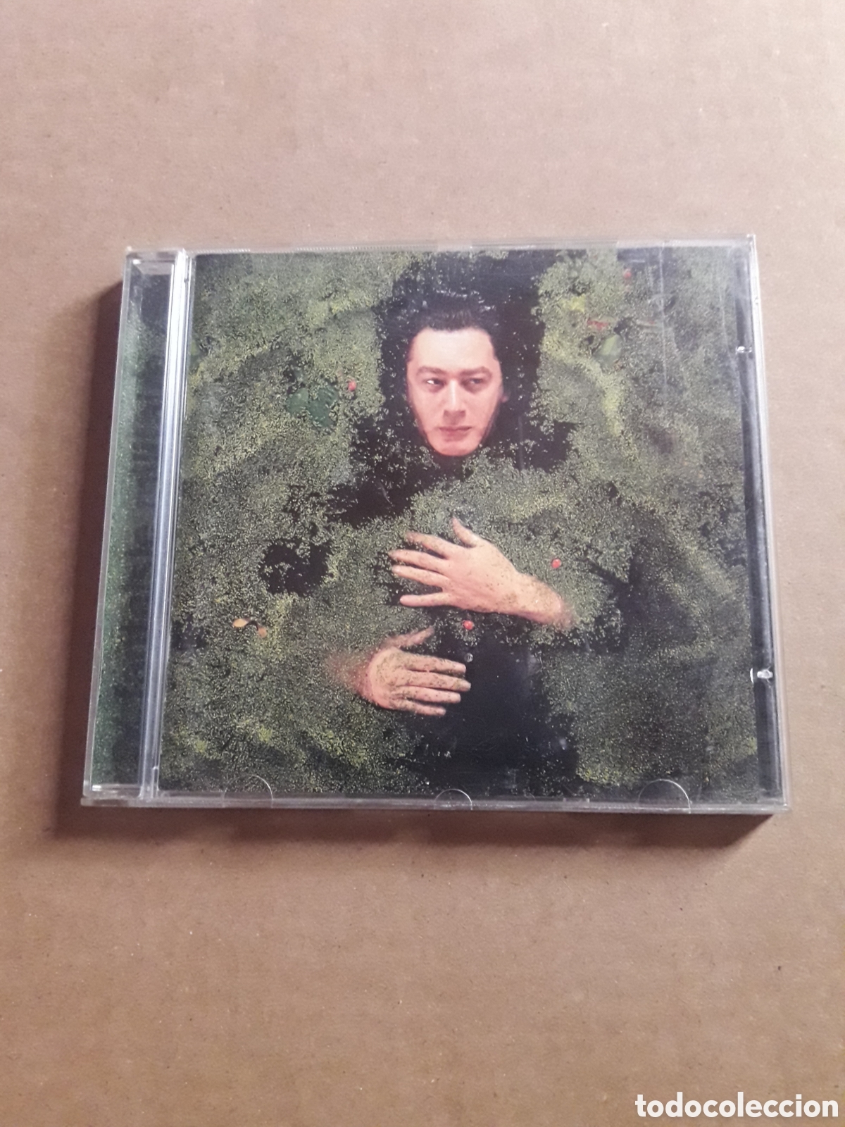 Fantaisie Militaire Alain Bashung CD