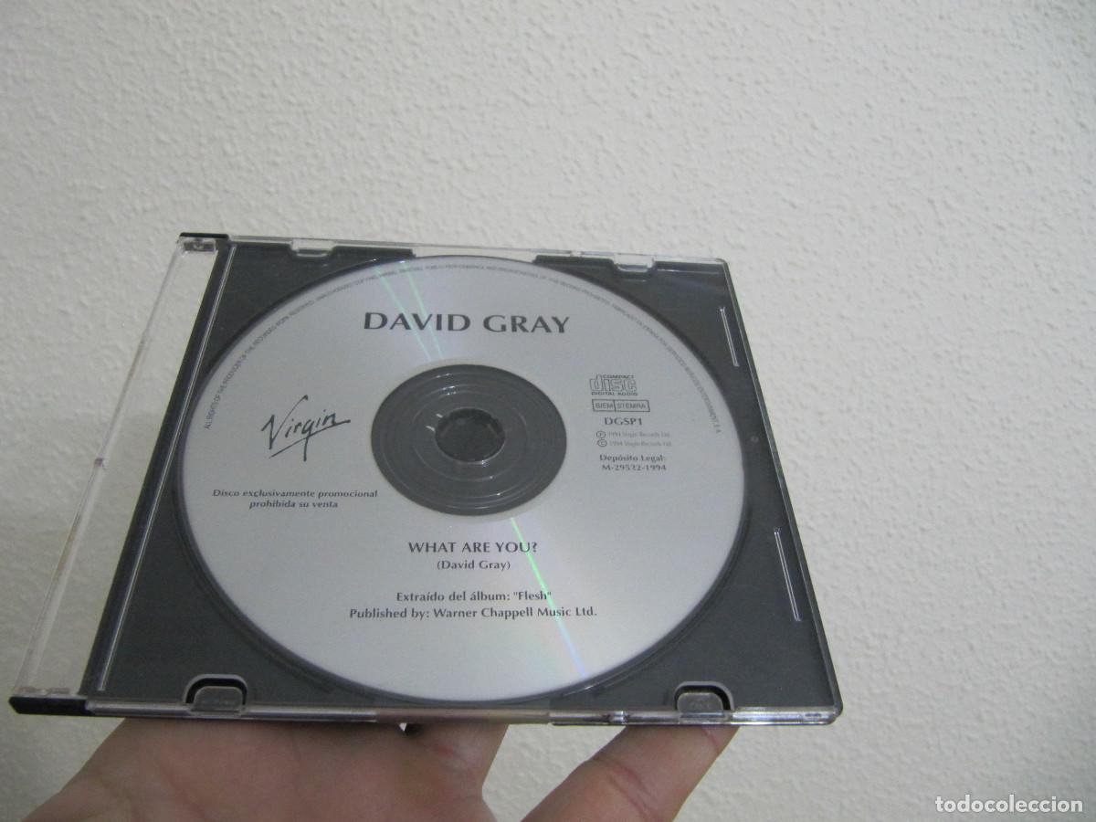 CDs de m&uacute;sica: DAVID GRAY - WHAT ARE YOU CD SINGLE - Foto 1