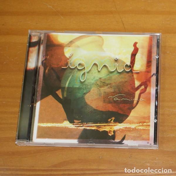 CDs de m&uacute;sica: NAMINA &ndash; IGNIA. CD MICROSCOPI 2016 - Foto 1