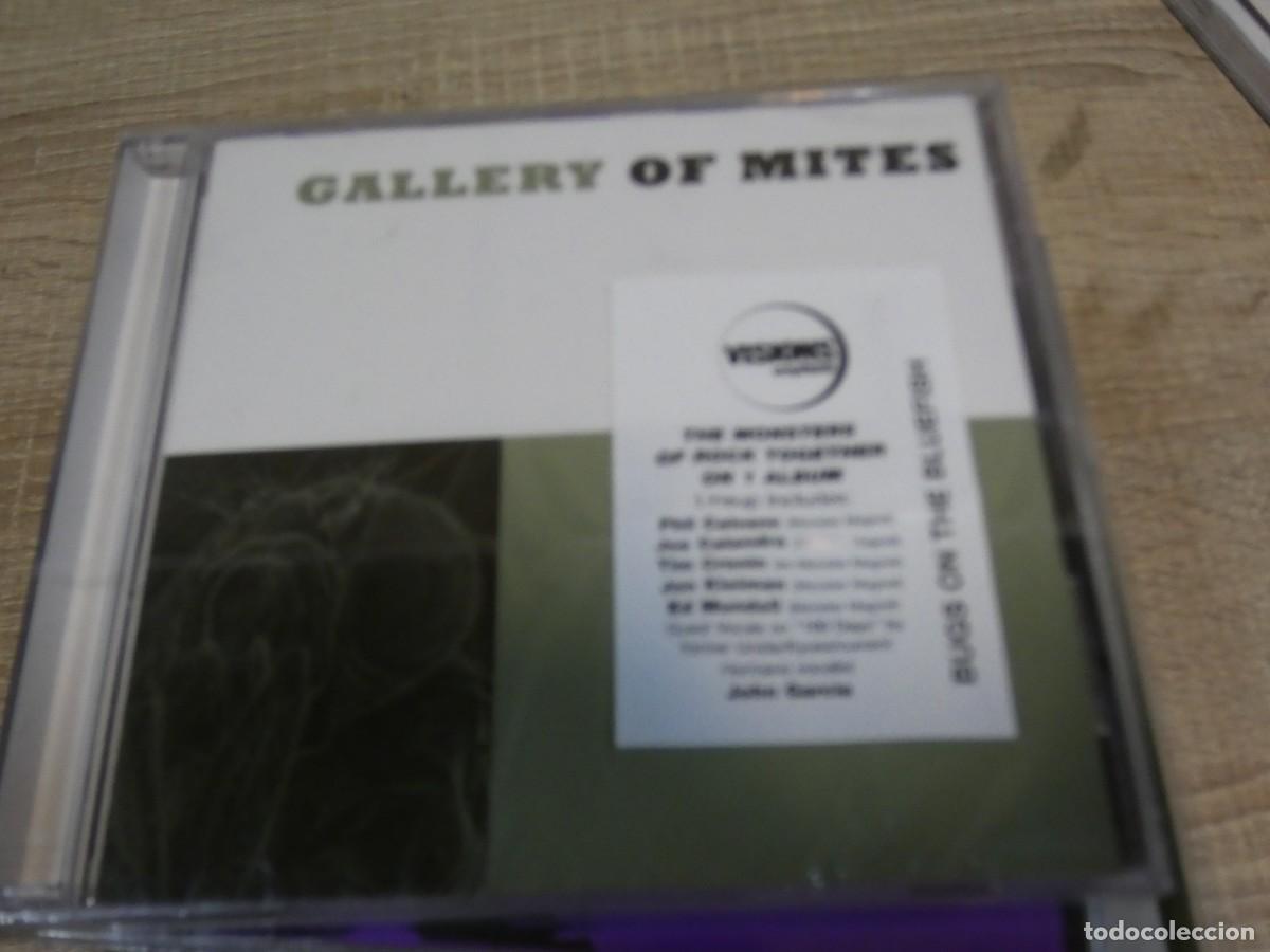 CD de M&uacute;sica: ARKANSAS1980 lott214 cd buen estado nuevo a estrenar Jebi garrulo GALLERY OF MITES