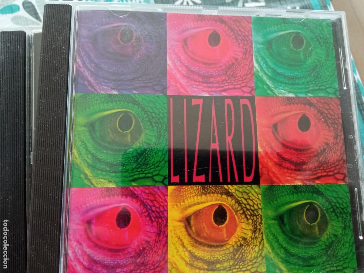 CDs de m&uacute;sica: Lizard The Lizards Smile cd - Foto 1