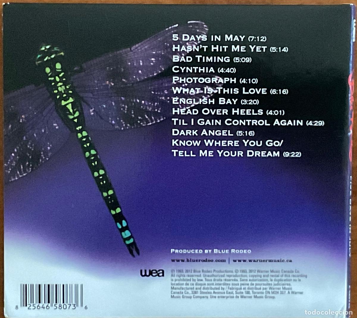CDs de m&uacute;sica: BLUE RODEO - FIVE DAYS IN JULY. DIGIPACK - Foto 2