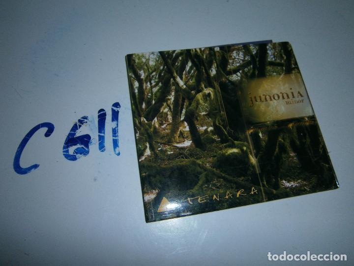 CDs de m&uacute;sica: CD - ARTENARA - JUNONIA MINOR - Foto 1