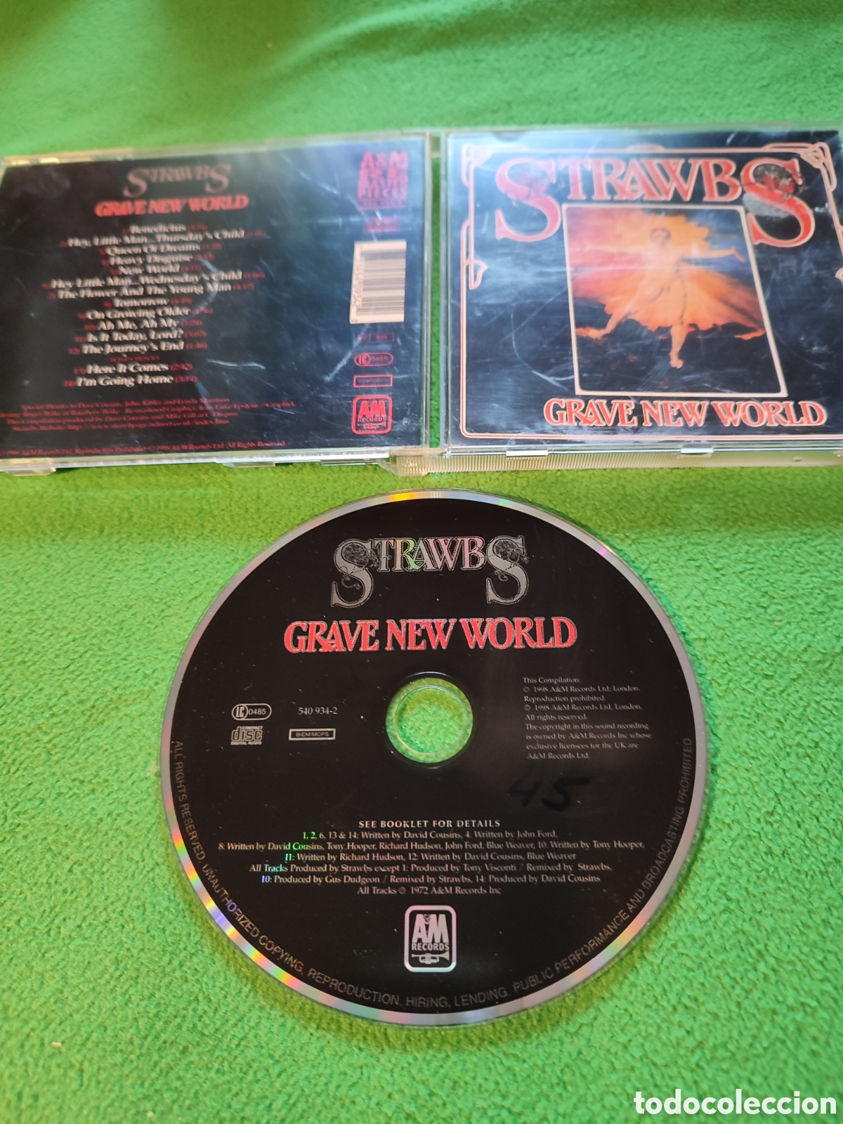 CDs de m&uacute;sica: Strawbs - Grave New world - Foto 2
