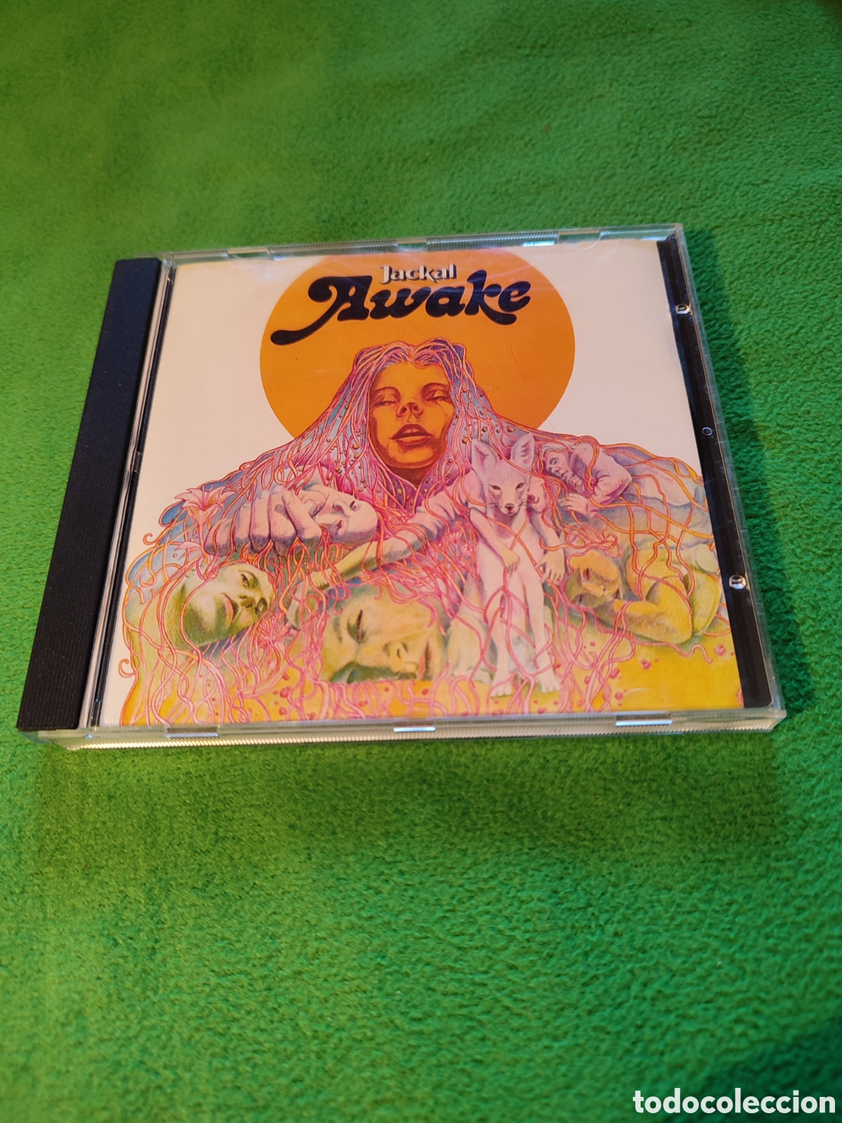 CDs de m&uacute;sica: Jackal - Awake - Foto 1