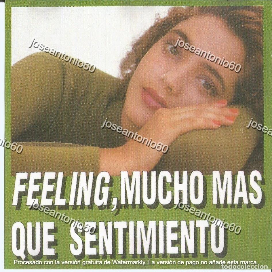 CDs de m&uacute;sica: CD. Feeling, mucho mas que sentimiento - Varios - Foto 1