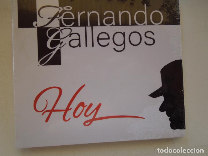 CDs de m&uacute;sica: FERNANDO GALLEGOS - HOY - CD PRECINTADO - Foto 1