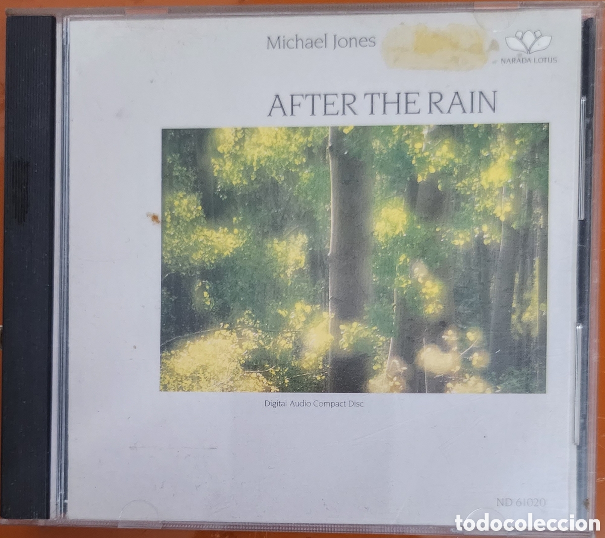 CDs de m&uacute;sica: After the rain - Michael Jones - Foto 1