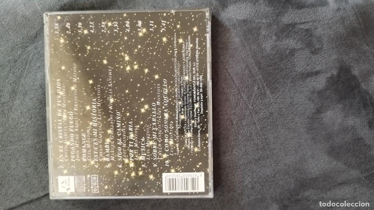CDs de m&uacute;sica: Bamb&uacute;,arte y comp&aacute;s.Cd - Foto 3