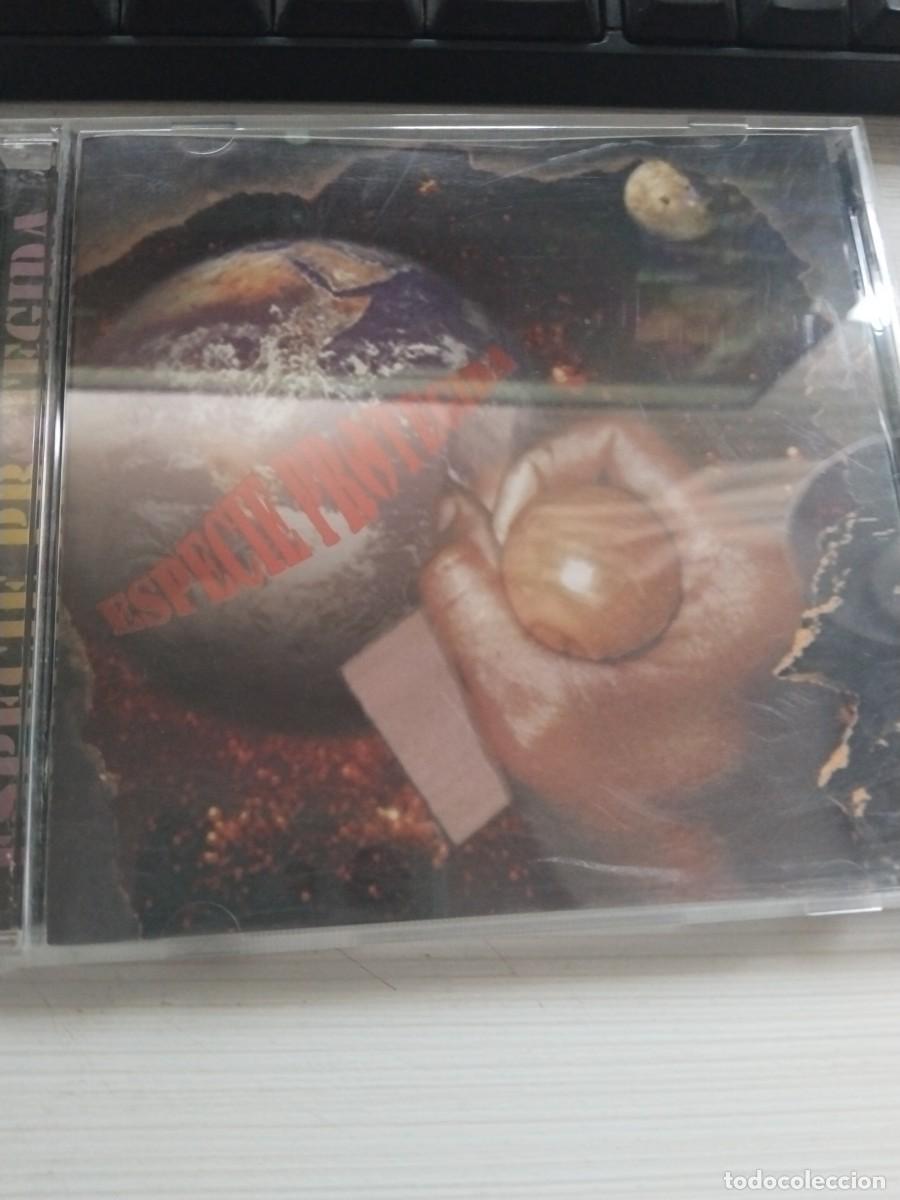 CDs de m&uacute;sica: Especie protegida