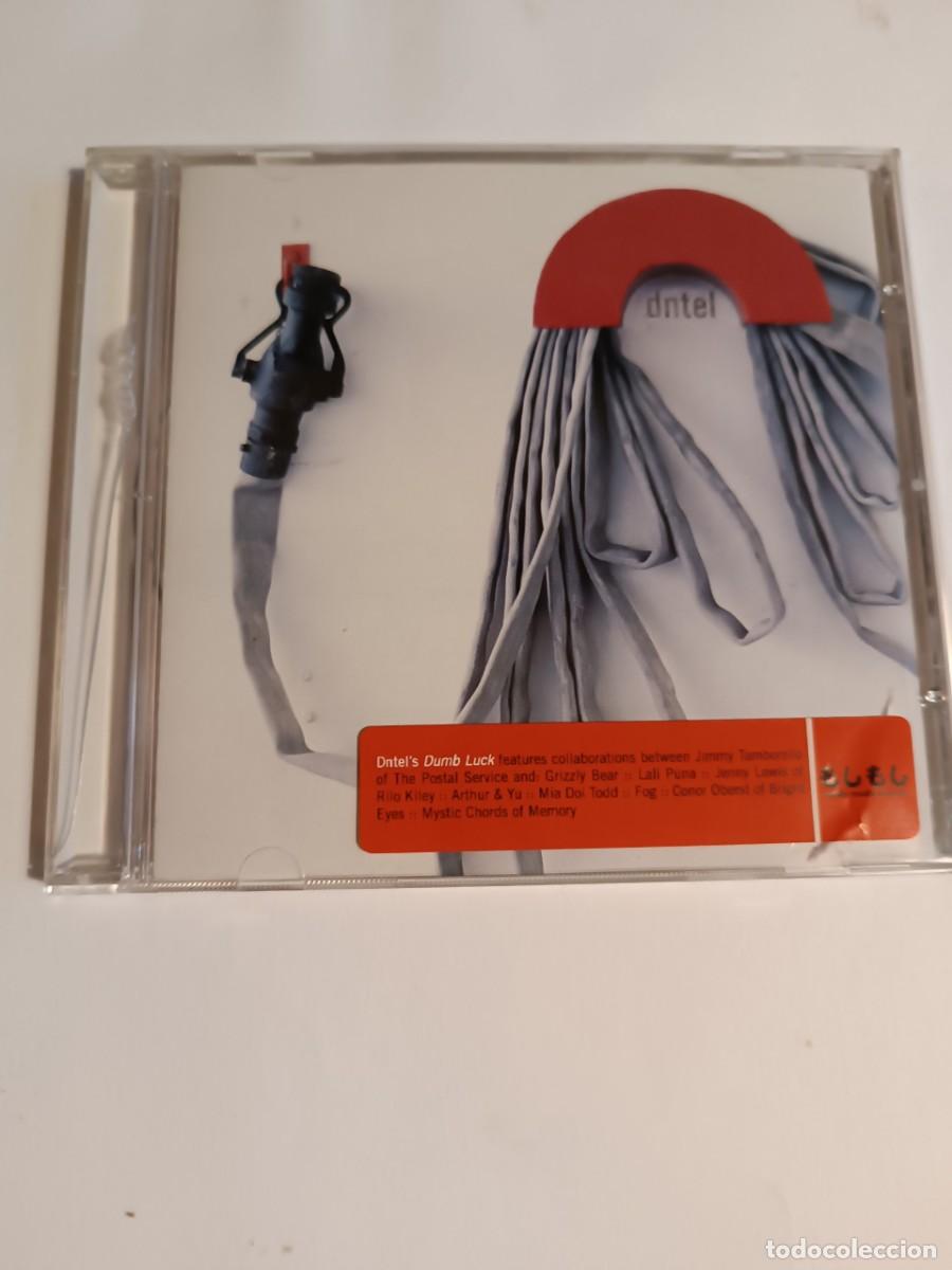 CDs de m&uacute;sica: Dntel / Dumb luck (Pop Electr&oacute;nico) - Foto 1