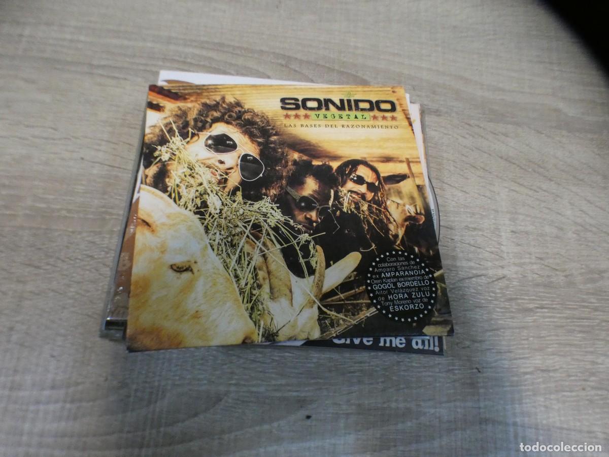 CDs de Musique: ARKANSAS1980 CD ESTADO DECENTE SONIDO VEGETAL