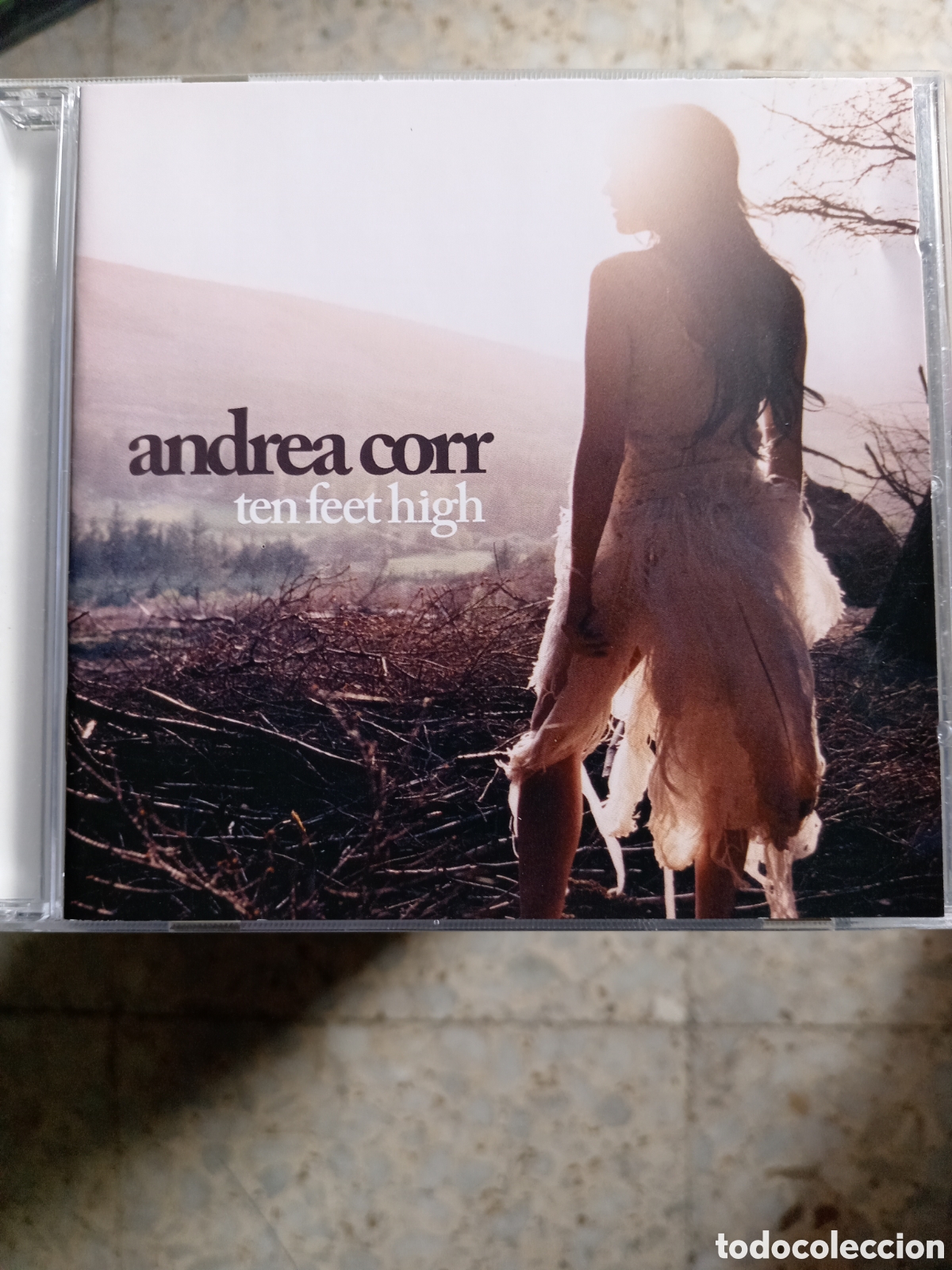 CDs de m&uacute;sica: CD ANDREA CORR TEN FEET HIGH - Foto 1