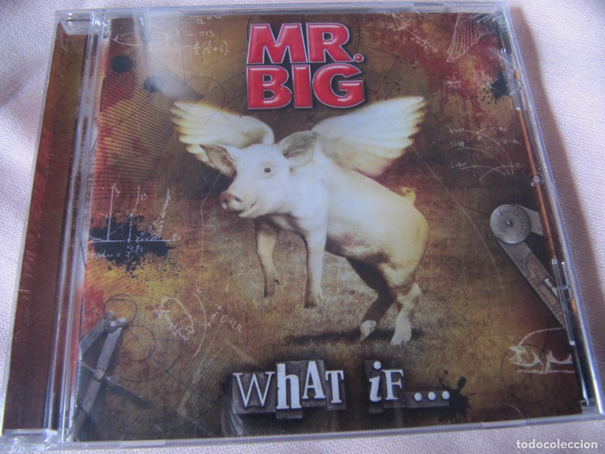 CDs de m&uacute;sica: Mr. Big &ndash; What If... CD PRECINTADO - Foto 1